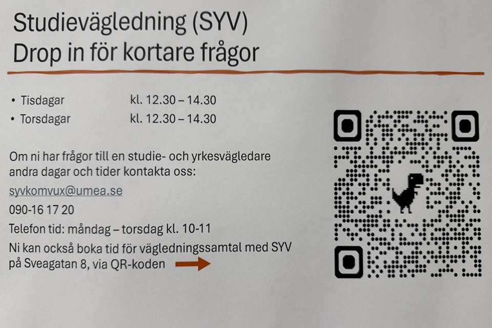 Ange alt-text; vad bilder föreställer.